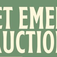 Emerald Auction Donation